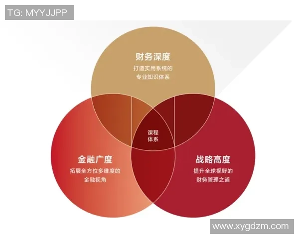 AL与CFO角色对比解析企业战略与财务管理协同发展的关键路径