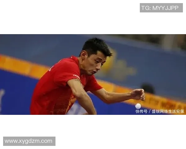 乒乓球技术革新与世界赛场动态分析：从基础训练到顶尖选手的竞技之路