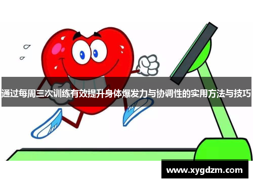 通过每周三次训练有效提升身体爆发力与协调性的实用方法与技巧