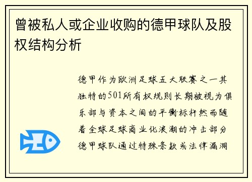 曾被私人或企业收购的德甲球队及股权结构分析