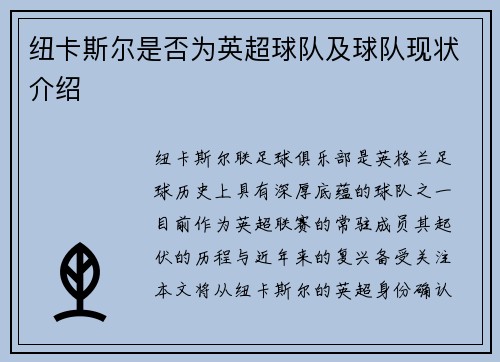 纽卡斯尔是否为英超球队及球队现状介绍