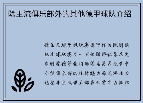除主流俱乐部外的其他德甲球队介绍
